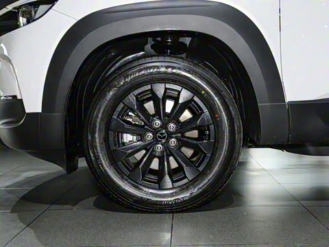 2023�� 2.0L ���а�