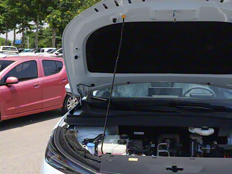 2025�� 445km ���ð�