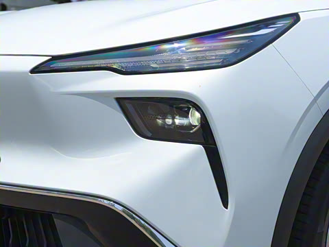 2025�� 445km ���ð�