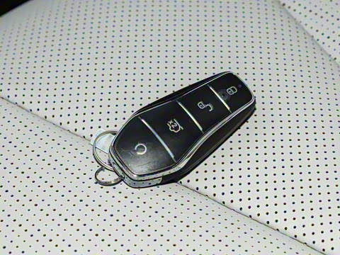 2025�� DM-i 170�캽Plus��