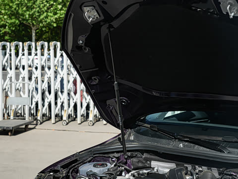 2026�� A3L Limousine 35TFSI �ɳ�������