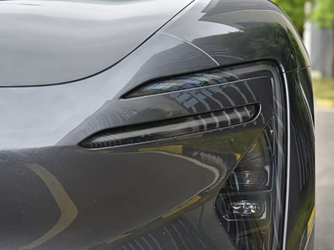 2025�� Max�����