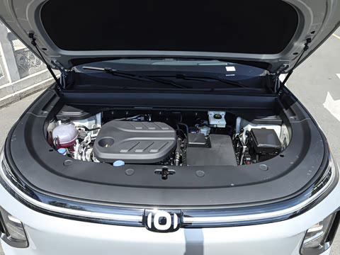 2025�� 145��ҫ��