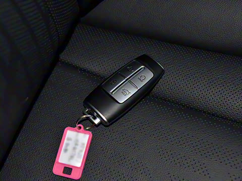 2021�� 2.5T ����������