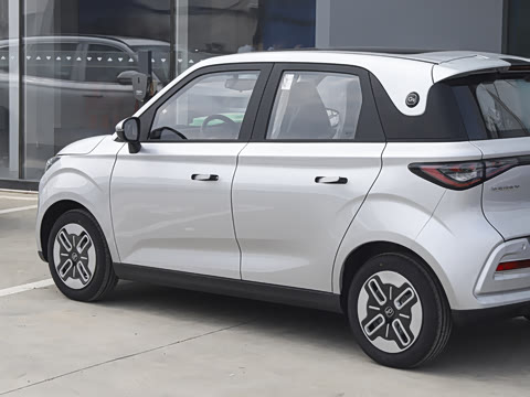 2025�� 305km ������