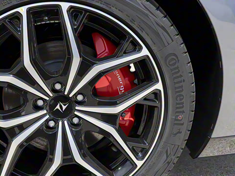 2025�� ���� 230Pro�캽��