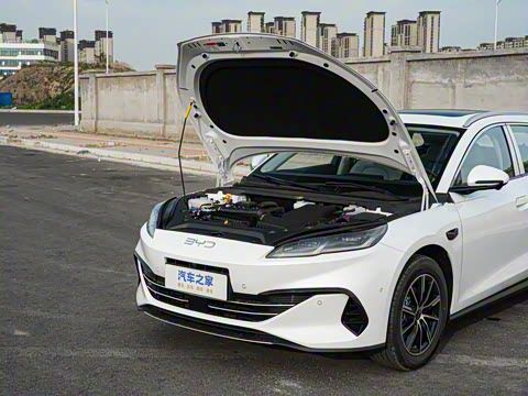 2025�� DM-i 80KM�����