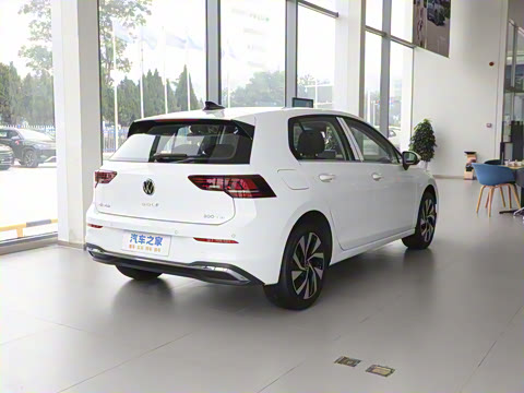 2025�� �Ŀ� 300TSI Pro