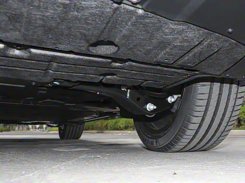 2025�� Max ������