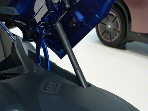 2025�� ������������������Max��