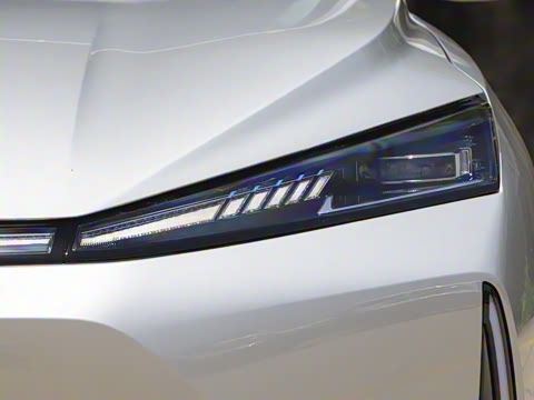 2025�� 205��������������