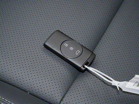 2025�� 1.5L �ֶ�׿Խ��