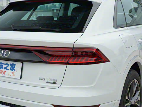 2022�� 55 TFSI ����������