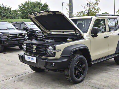 2025�� 2.0T ��ս��