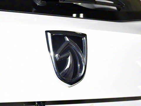 2021�� ȫ���������� 1.5T �ֶ������� 5��