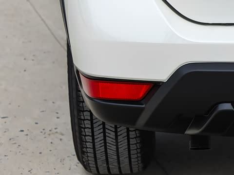 2025�� ���� 2.0L �������Ȱ�