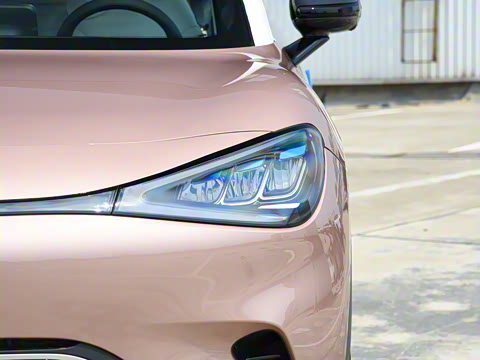 2026�� �鶯������