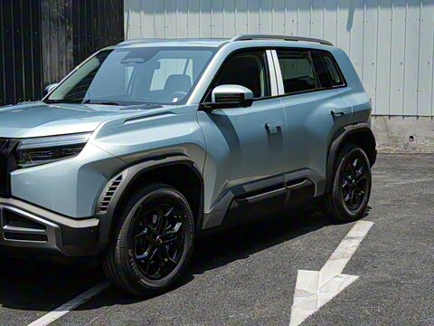 2025�� 501KM ����Pro��