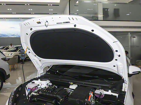 2025�� DM-i 150KM������