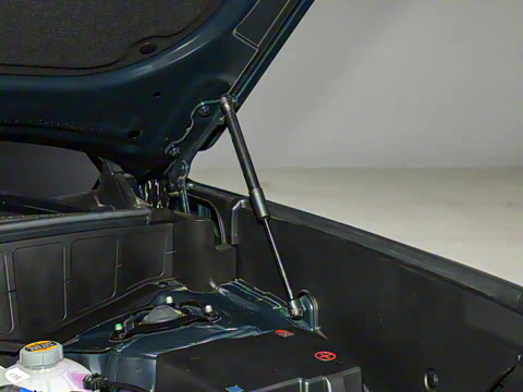 2026�� 2.5T Calligraphy ���ͼ� 6��