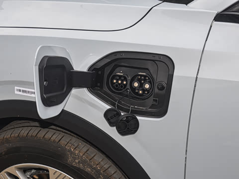 2025�� 565km ������