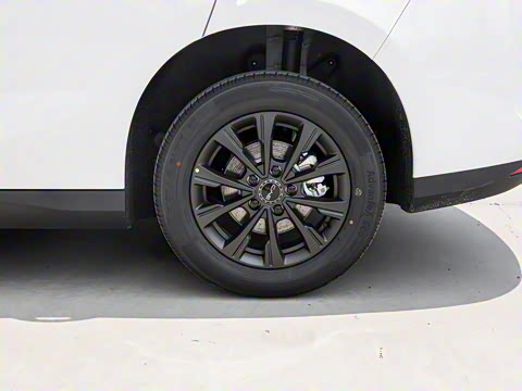 2025�� 520�ǻݰ�