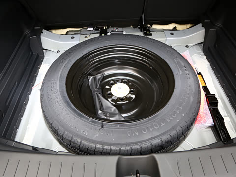 2021�� 260T ������