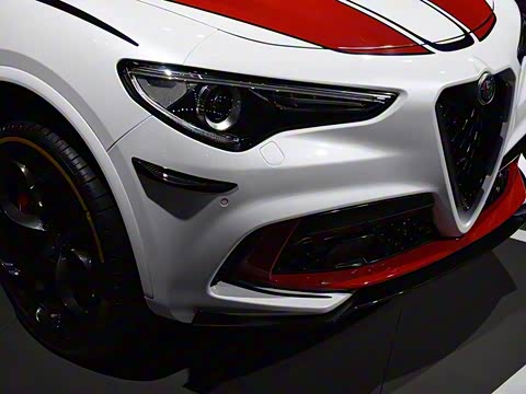 2019�� 2.9T 510HP F1������