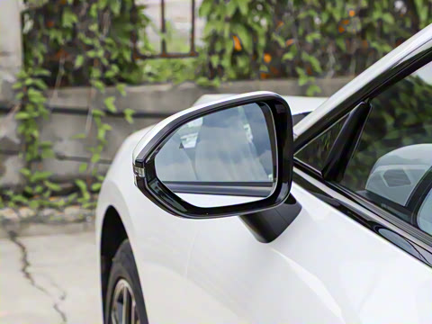 2025�� ���� 650ProѲ����