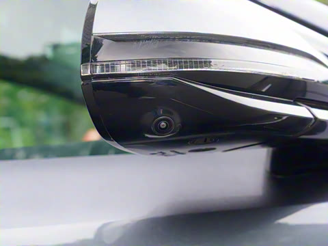 2025�� DM 175KM���˻���Ұ�