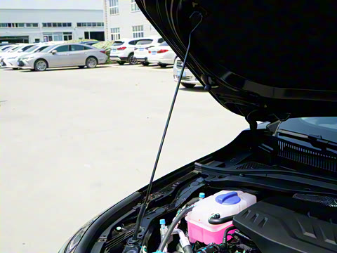 2025�� 145km ������