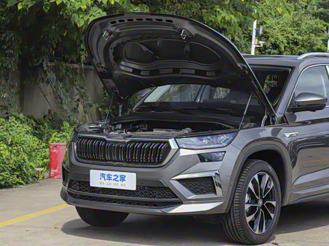 2025�� TSI380 7�������콢��