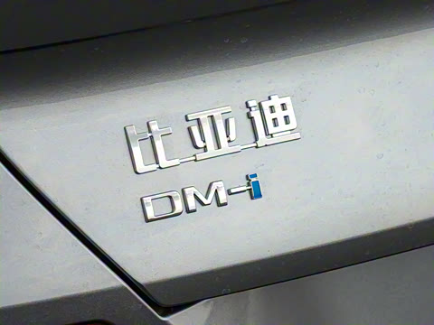 2025�� DM-i 170�캽Pro��