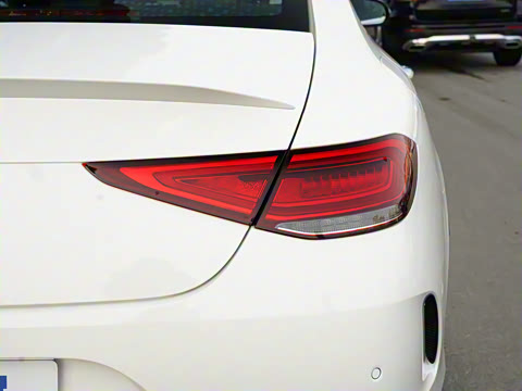 2022�� CLS 300 ������