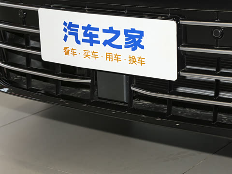 2025�� Pro 300TSI ��ҫ��