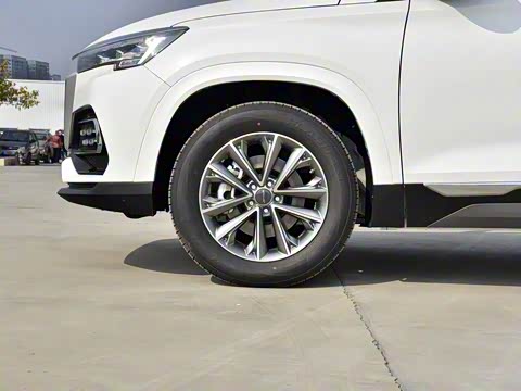 2020�� 1.6T DCT����Pro�� 6��