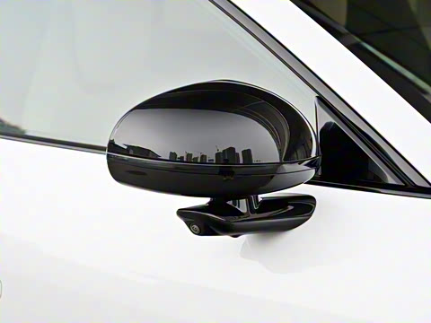 2025�� ��������������