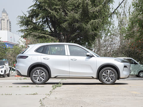 2025�� 55km ������