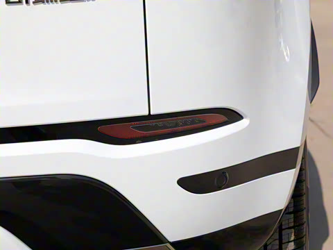 2022�� ����L P300e ���ʽ�綯��ϰ�