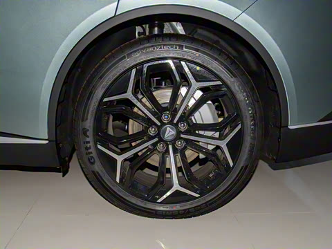 2025�� �����˶���