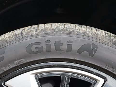 2025�� 135 �����ܼ����״��