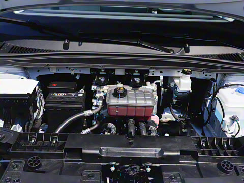 2025�� 650�����״��