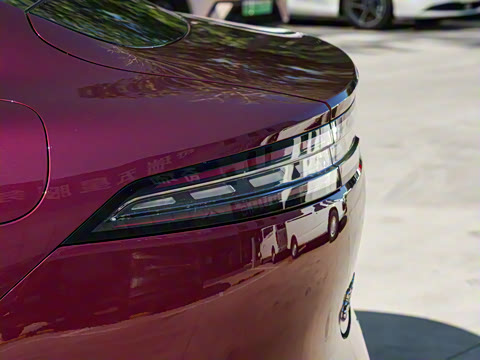 2025�� 260����������