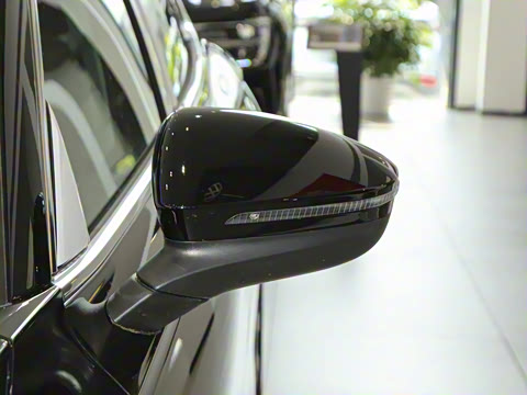 2025�� Pro 300TSI ��ҫ��