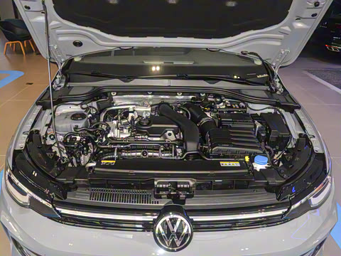 2025�� �Ŀ� 300TSI Pro