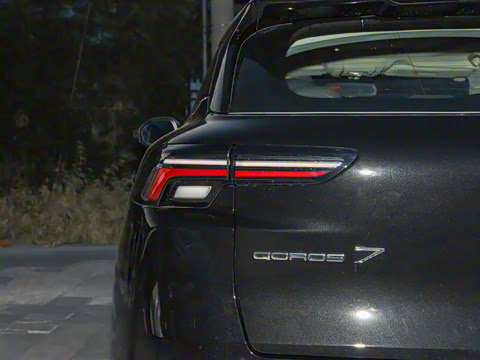 2020�� 1.6T Ѳ��������