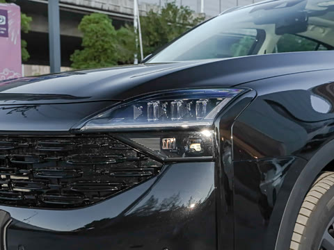 2020�� 1.6T Ѳ��������