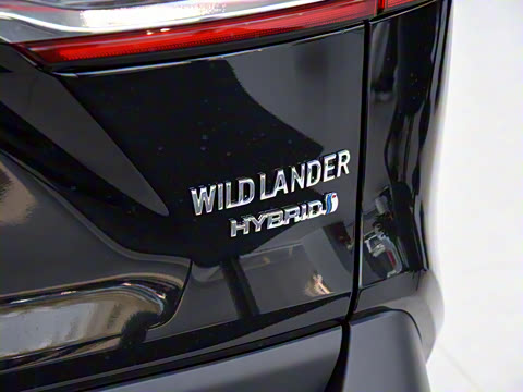 2022�� ˫�� 2.5L E-CVT��������