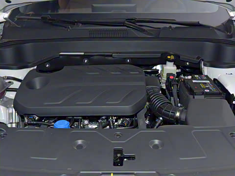 2025�� 500Bar MAX