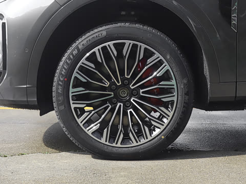 2025�� FREE+ ����Ǭ����